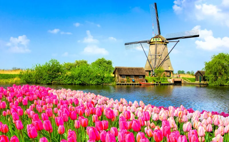 Kinderdijk, Windmühlen