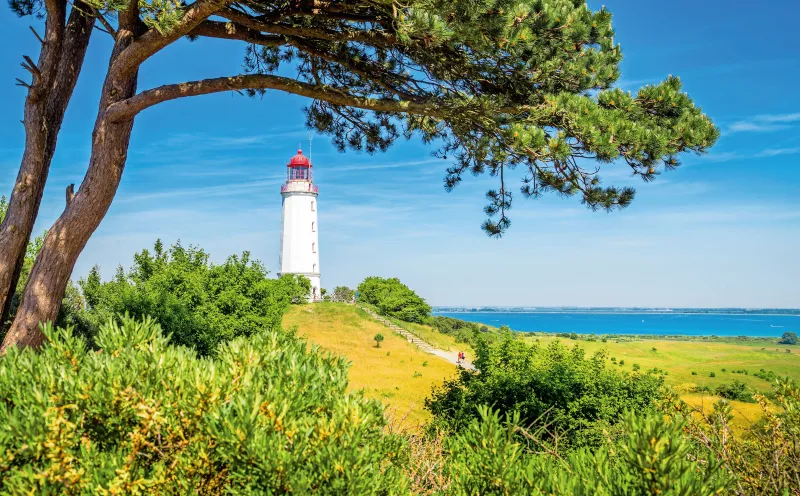 Leuchtturm Dornbusch auf der Insel Hiddensee