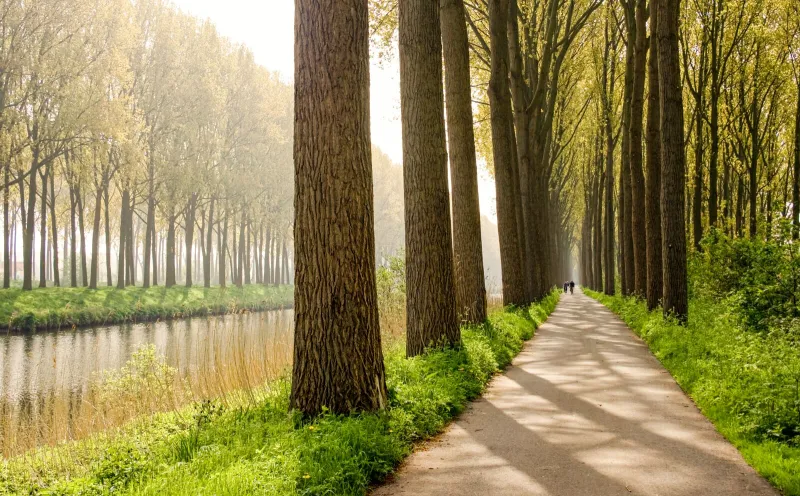 Radweg in Flandern