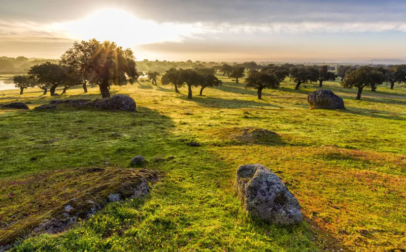 Arroyo de la Luz bei Caceres