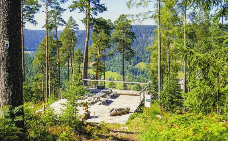 Aussichtsplattform Enzklösterle