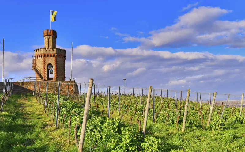 Bad Dürkheim Weinstrasse