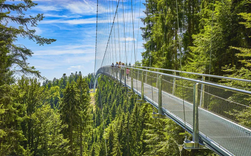Bad Wildbad Baumwipfelpfad