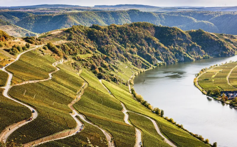 Das Mosel-Ufer nahe Piesport