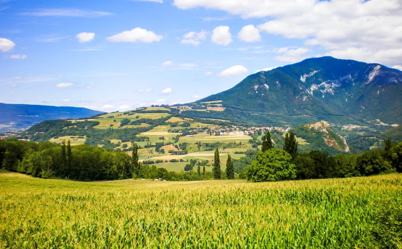 Blick über das Rhônetal