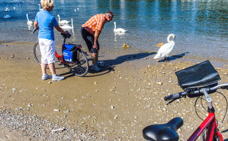 Breisach, Rhein, Radler