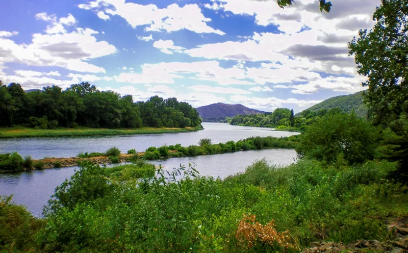 Die Rhône bei Meximieux