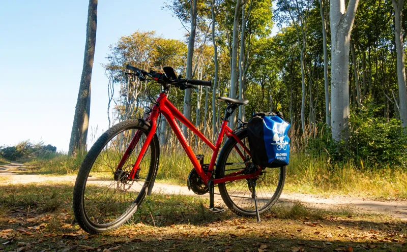 Mietrad mit gefederter Sattelstütze