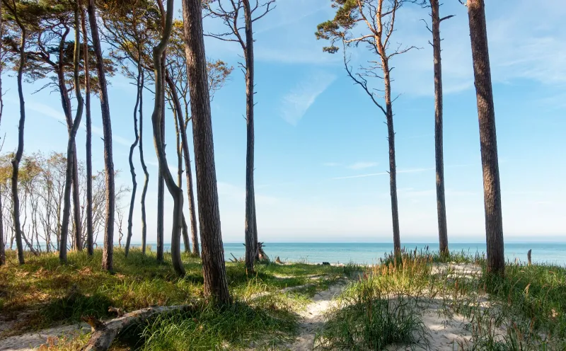 Nationalpark Vorpommersche Boddenlandschaft