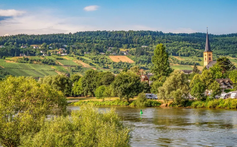 Mosel-Radweg Klassiker, Trittenheim