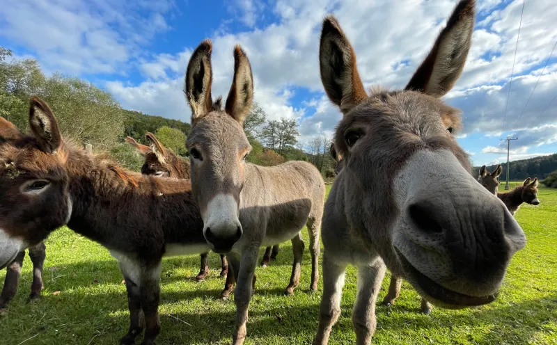 Impressionen Fünf Flüsse Radtour