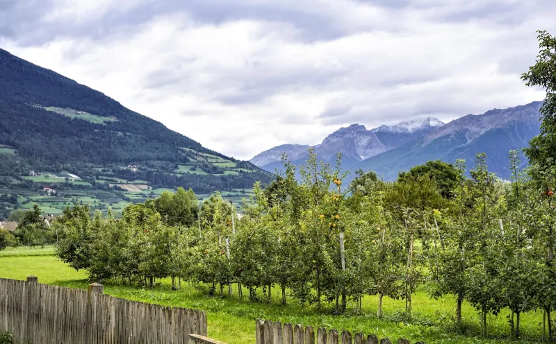Landschaft bei Glurns