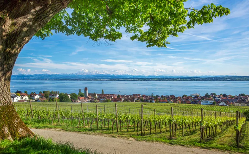 Hagnau am Bodensee mit Blick auf die Alpen