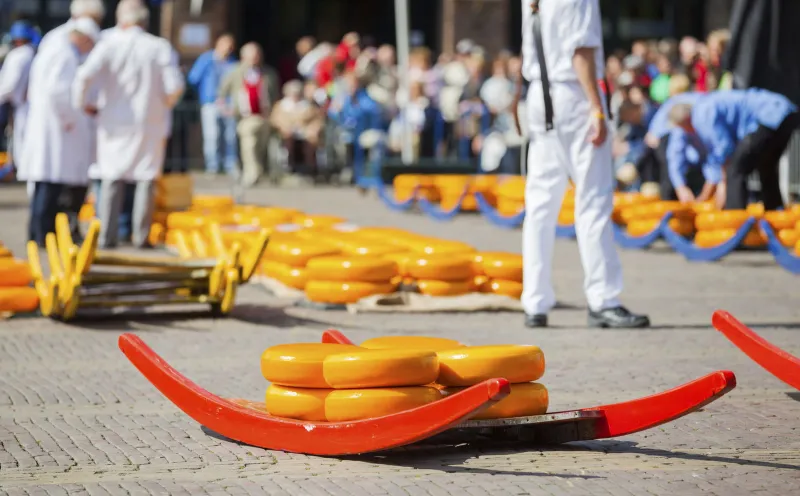 Käse Alkmaar