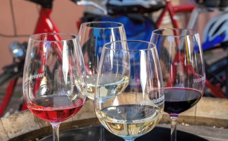 Weingläser Radweg Reisen Deutsche Weinstraße