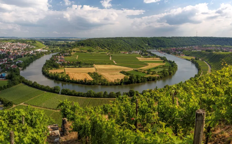 Mundelsheim