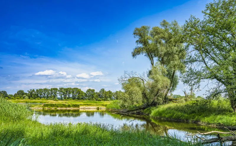 Landschaft, Oder