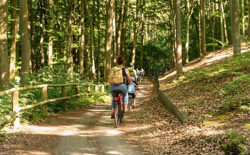 Radfahrer, Wald, Usedom