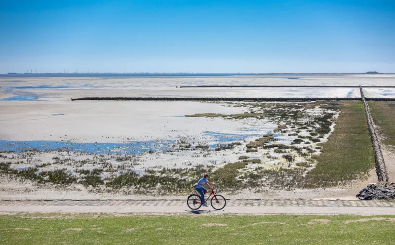 Radfahrer, Schlüttsiel, Wattenmeer
