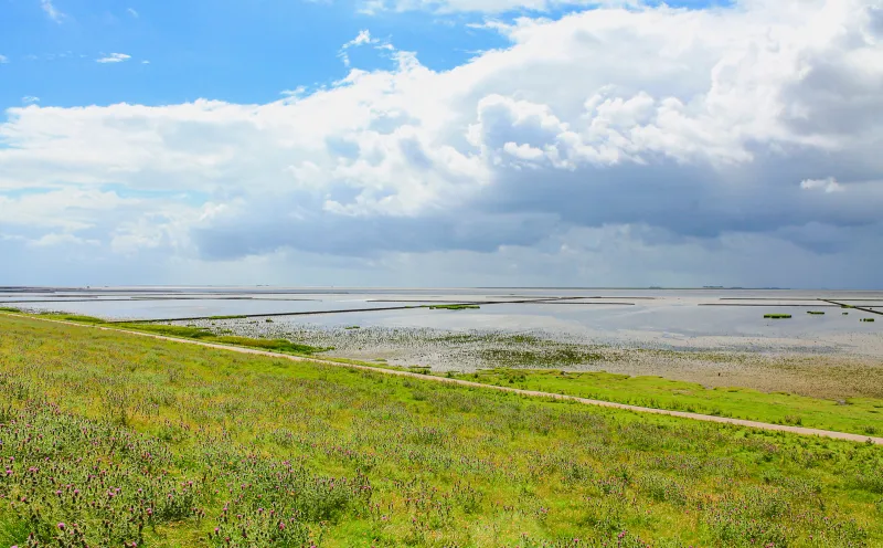 bei Niebüll, Wattenmeer