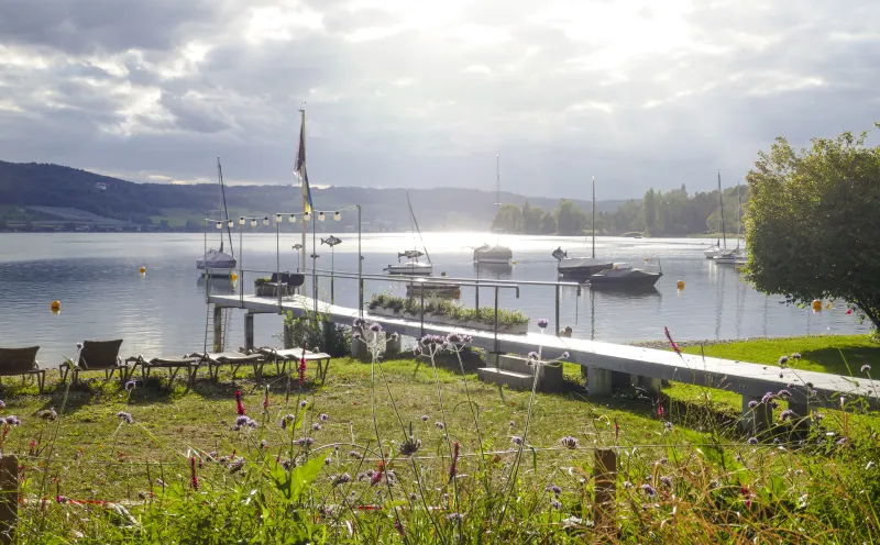 Hafen Bodensee