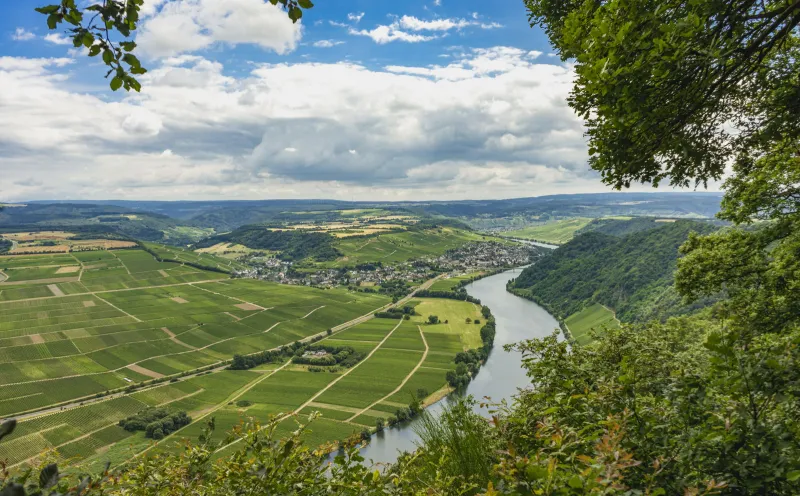 Mosel Piesport