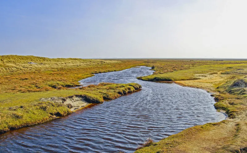 Priel und Salzwiese auf Norderney