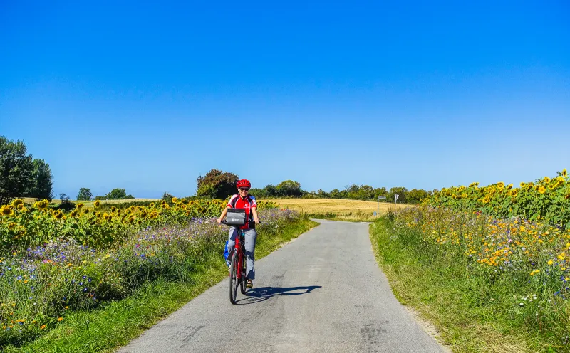 Radfahrer, Radweg nach Åbenrå