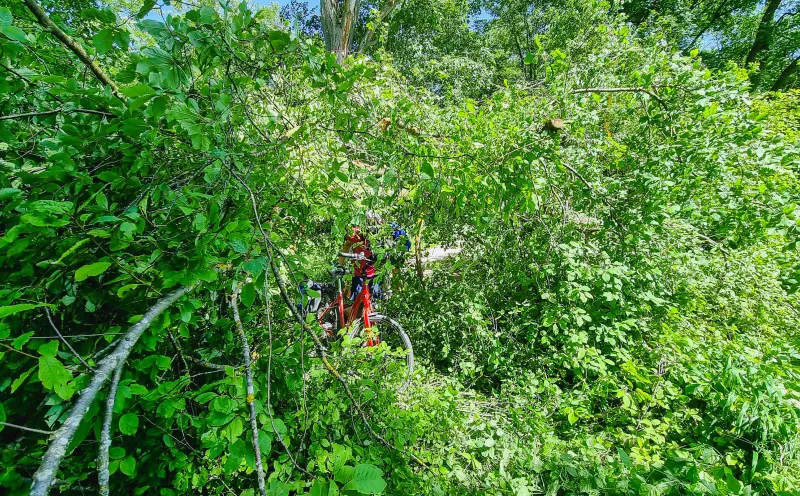 Tag3 Abensberg-Neuburg an der Donau