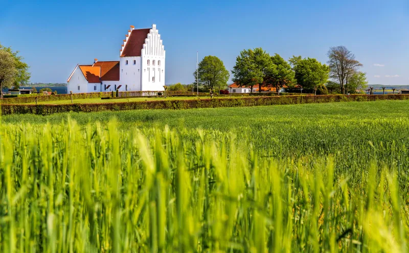 Kirche, Rinkenæs Sogn, Felder