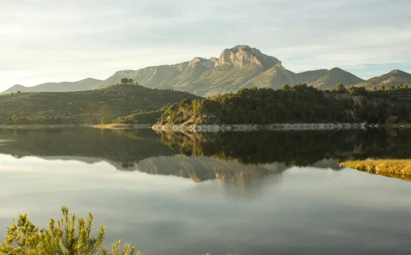 See von Beniarrés