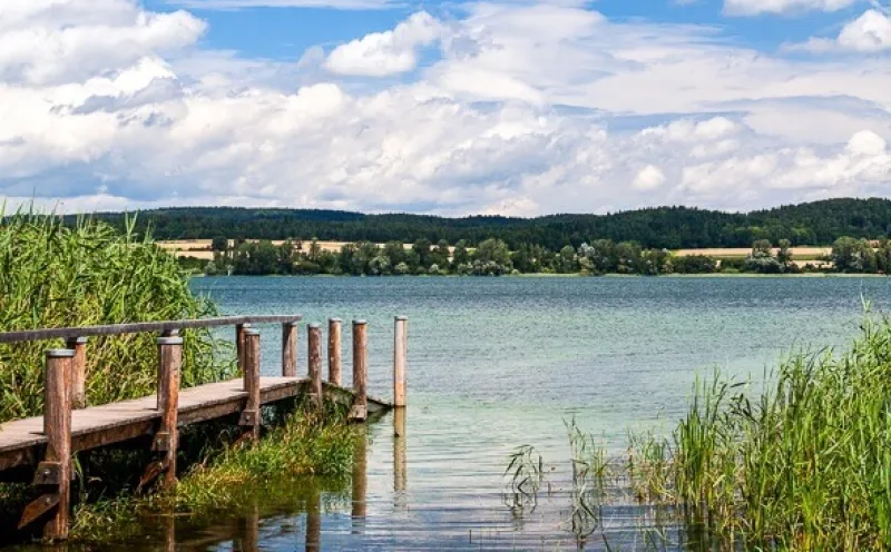 Steg Reichenau