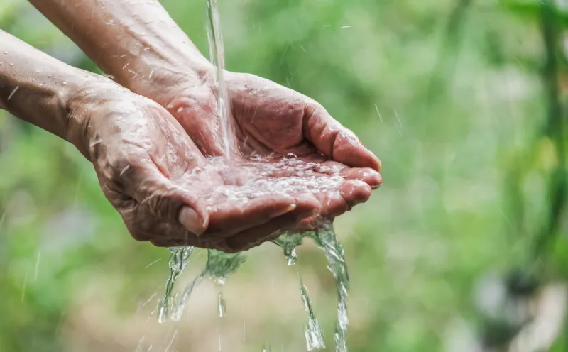 Mainquelle, Hände, Natur