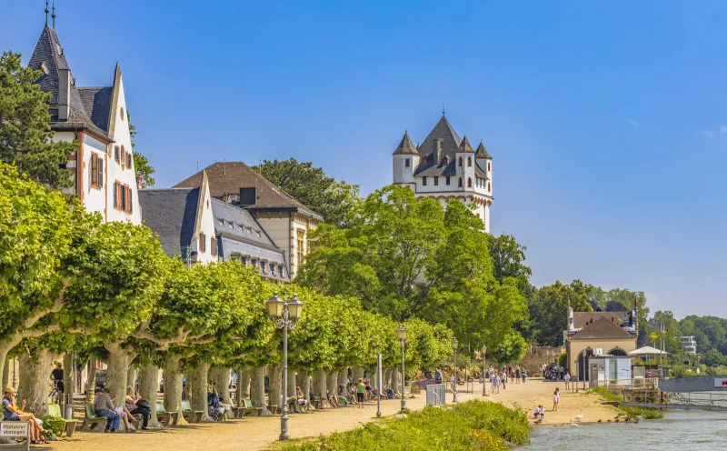 Kurfürstliche Burg Eltville