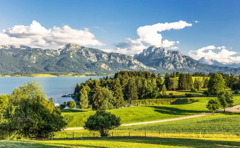 Forggensee