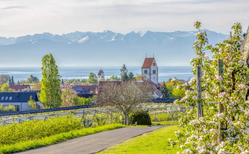 Frühling am Bodensee