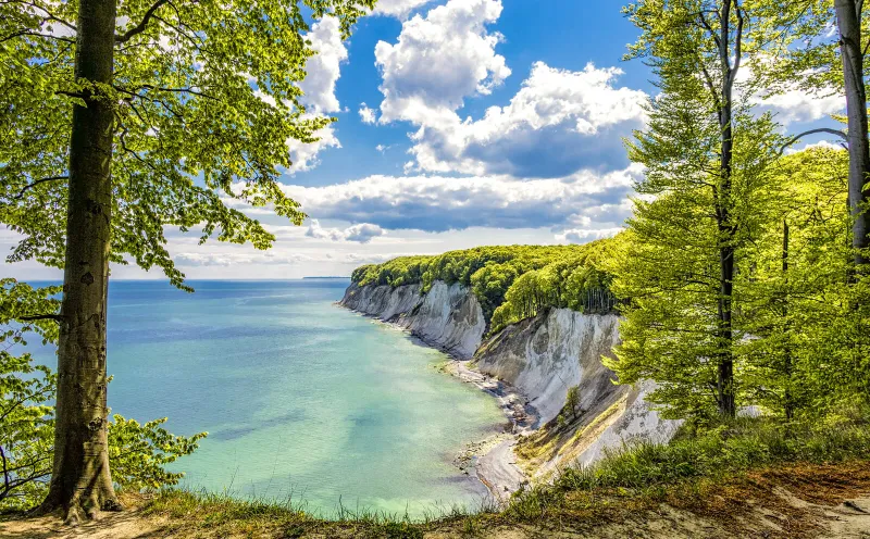 Königsstuhl Kreidefelsen - Rügen