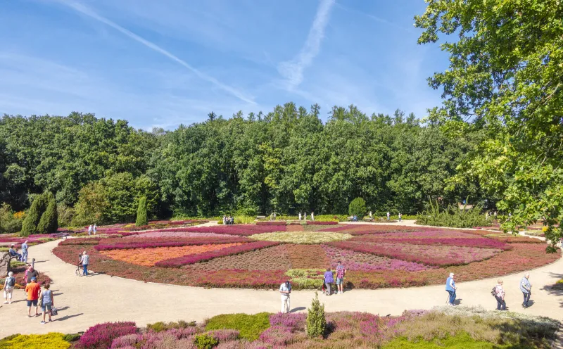 Heidegarten in Schneverdingen