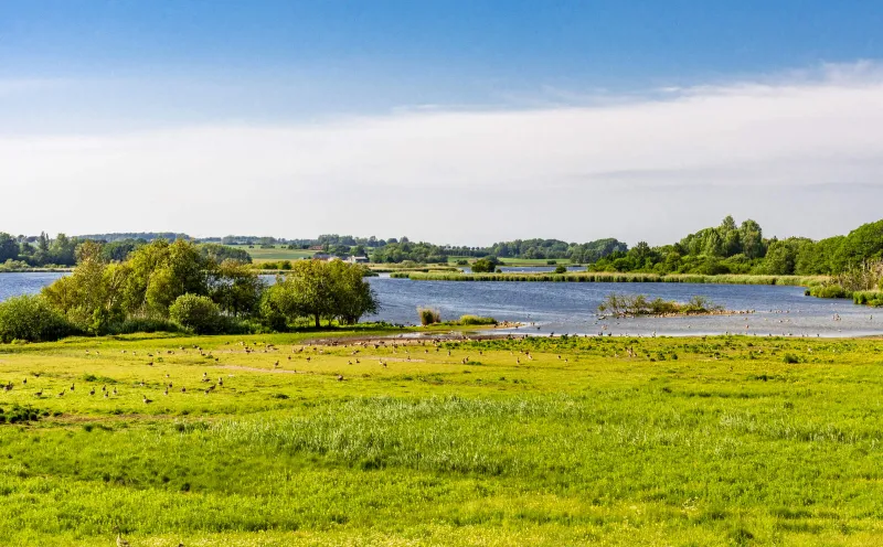 Seeland Roskilde Fjord