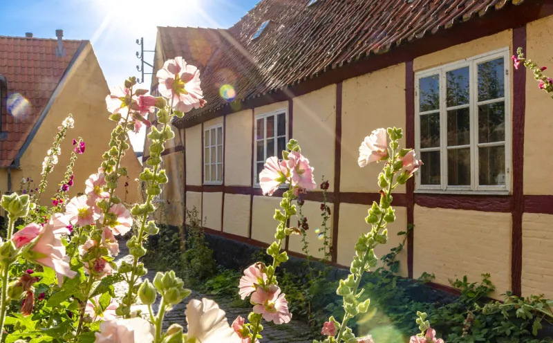 Altstadt Stege