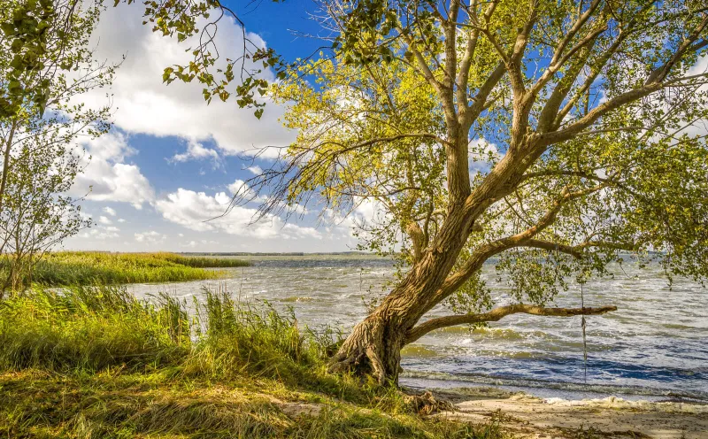 Lieper Winkel, Usedom
