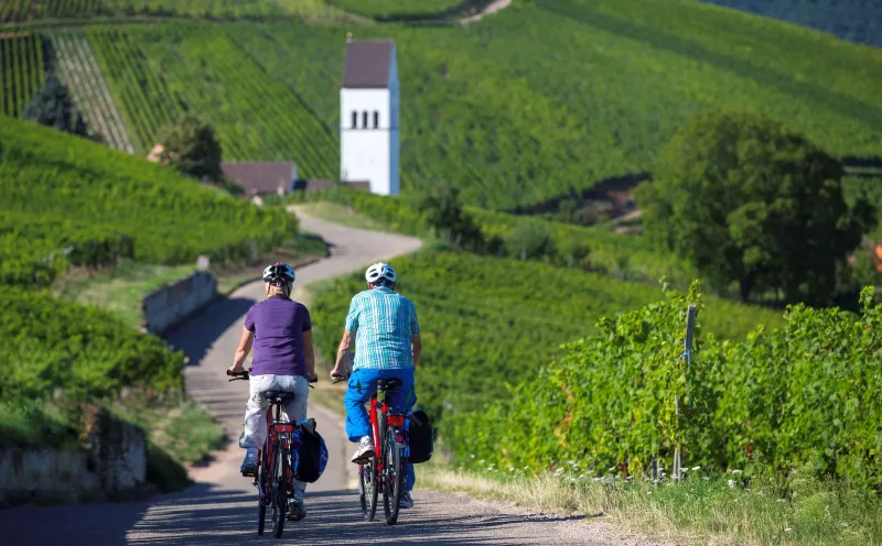 Radler Weinberg Frankreich