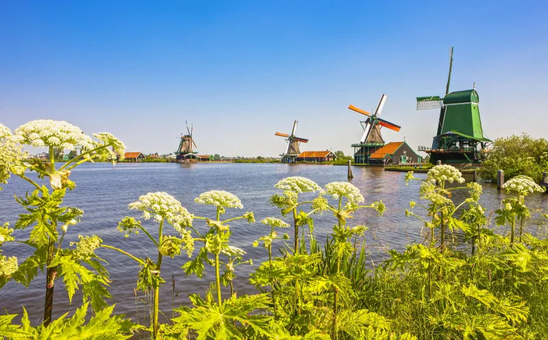 Zaanse Schans_Zaandam