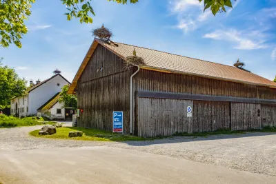 storchennester