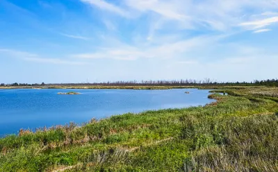 Hafflandschaft