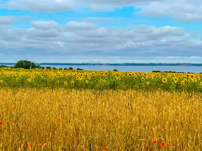 Ostsee-Radweg