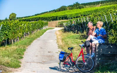In den Weinbergen im Markgräflerland
