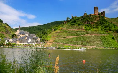 Weinhänge, Mosel-Radweg