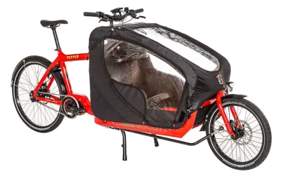 E-Lastenrad mit zwei Kindersitzplätzen