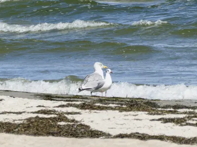 Thiessow Strand
